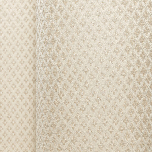 Carlotta Plain